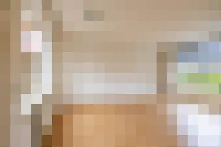Merelstraat 5 Vries thumbnail 15
