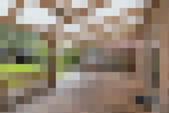 Merelstraat 5 Vries thumbnail 20