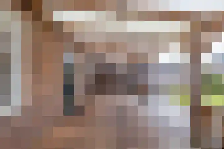 Merelstraat 5 Vries thumbnail 21