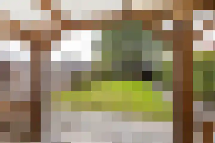 Merelstraat 5 Vries thumbnail 22