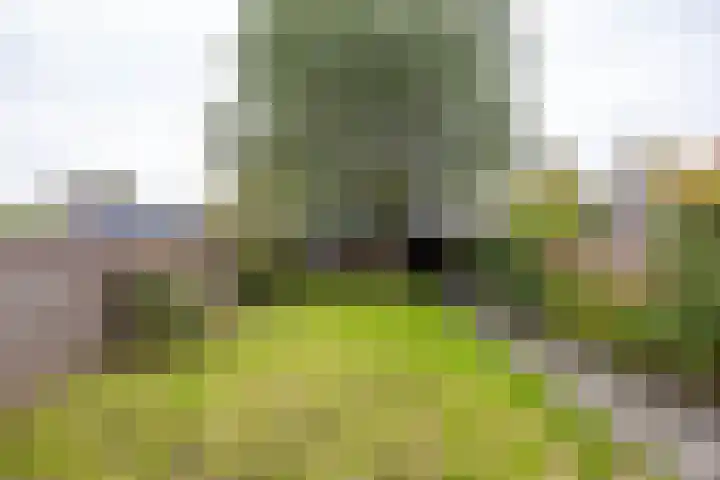 Merelstraat 5 Vries thumbnail 23