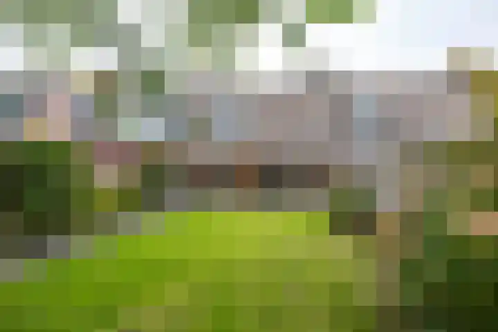 Merelstraat 5 Vries thumbnail 26
