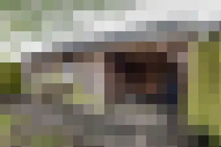 Merelstraat 5 Vries thumbnail 27
