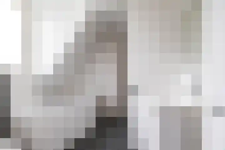 Merelstraat 5 Vries thumbnail 34