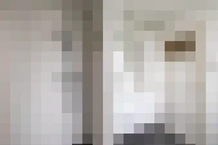 Merelstraat 5 Vries thumbnail 35