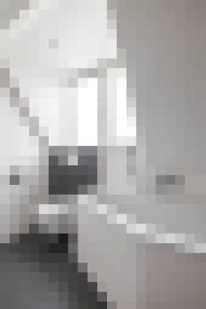 Merelstraat 5 Vries thumbnail 37