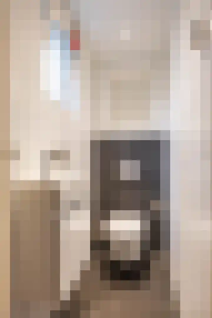 Merelstraat 5 Vries thumbnail 7