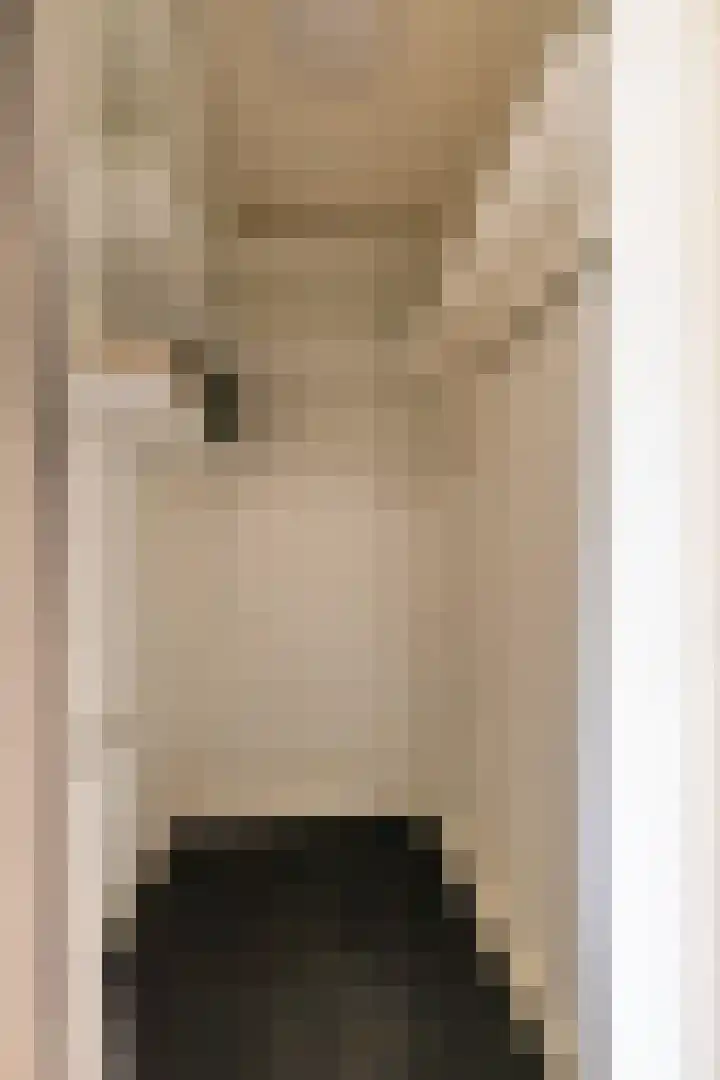 Merelstraat 5 Vries thumbnail 8