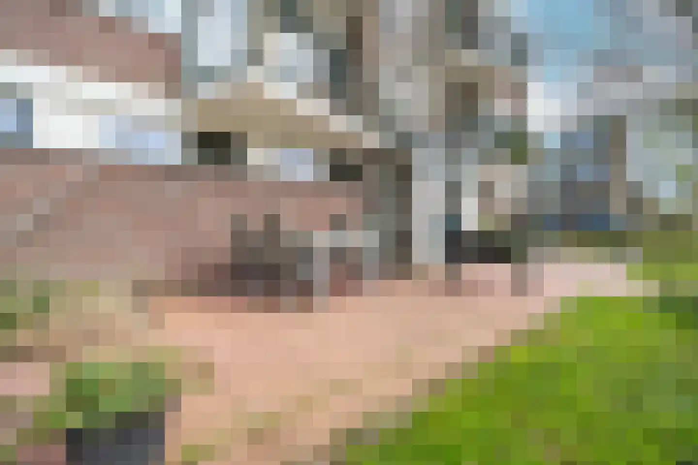 Merelstraat 50 Wormerveer thumbnail 5