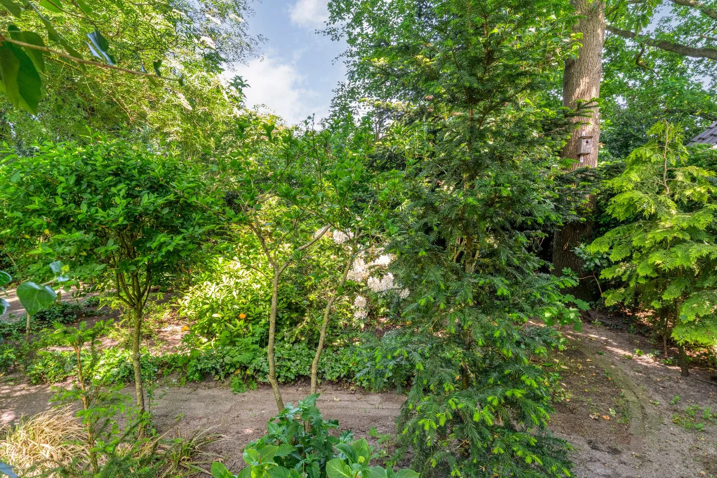 Merelstraat 52 Ommen thumbnail 59