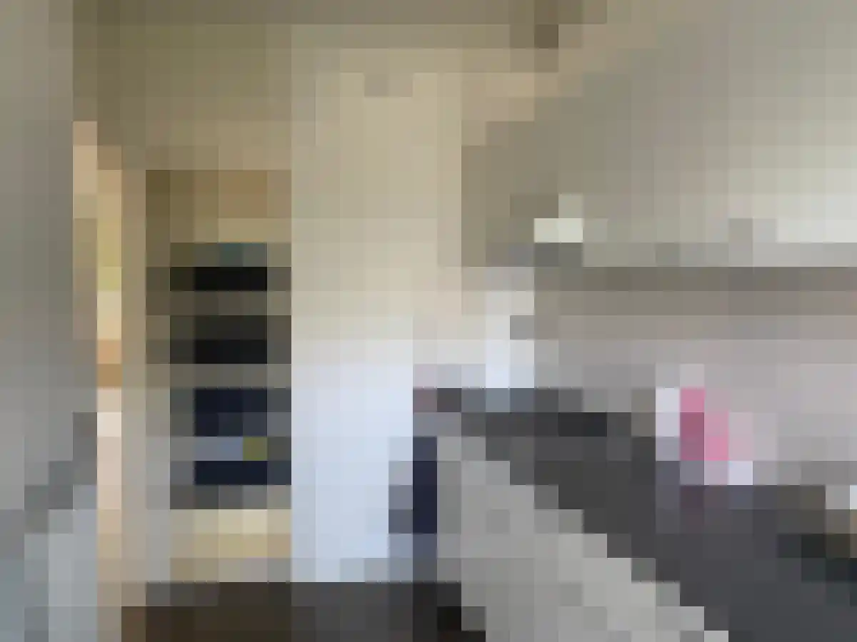 Merelstraat 54 Leiderdorp thumbnail 6