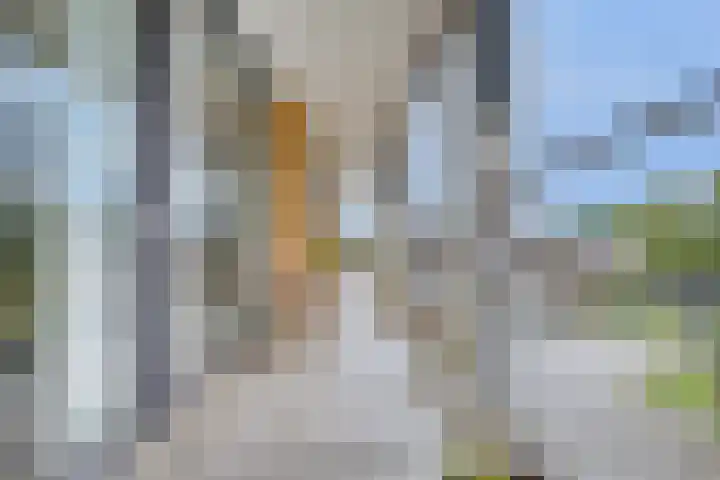 Merelstraat 54 Zwijndrecht thumbnail 37