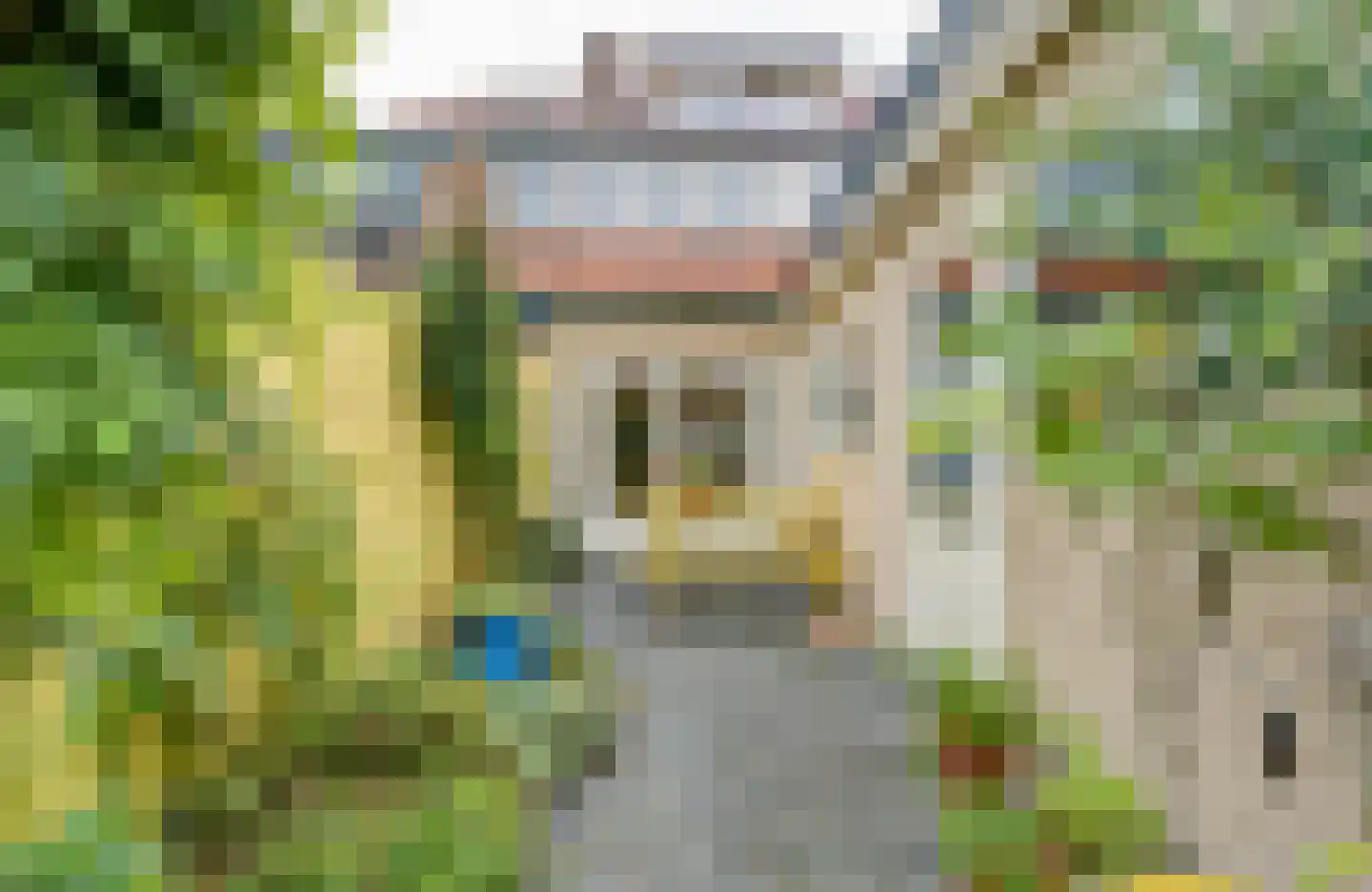 Merelstraat 57 Hilversum thumbnail 31