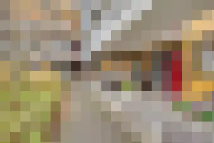 Merelstraat 58 Utrecht thumbnail 4