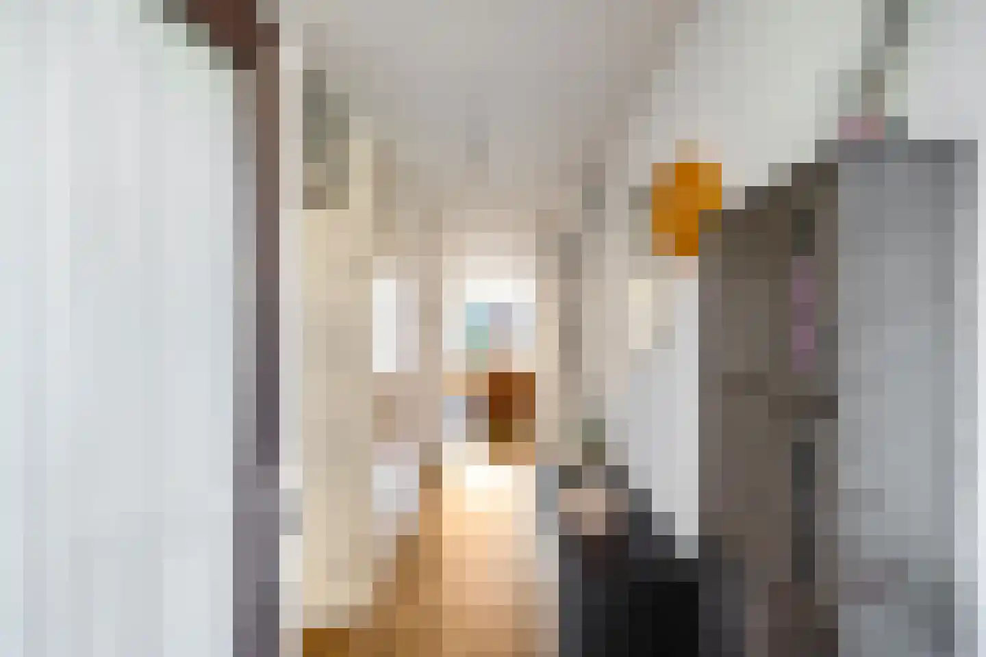 Merelstraat 6 c Groningen thumbnail 12