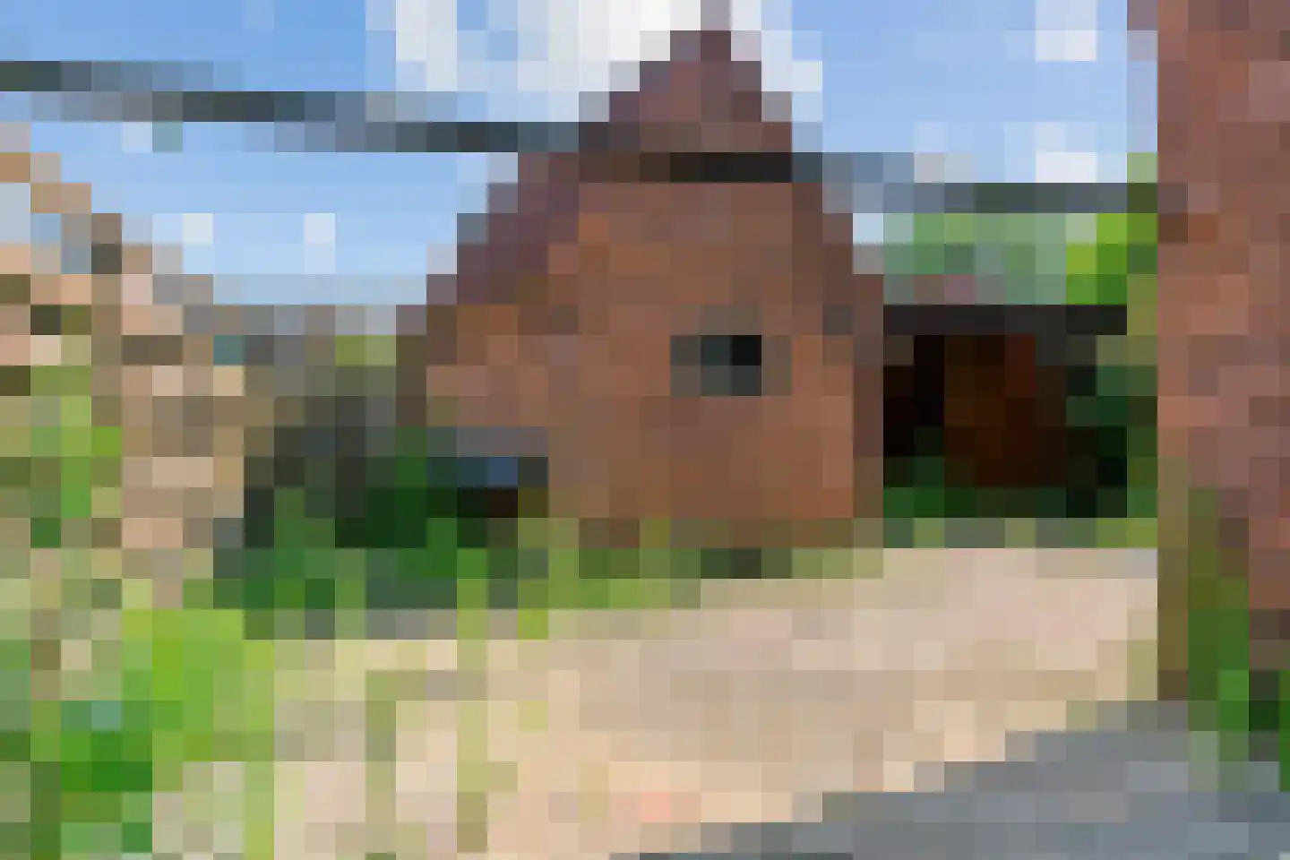 Merelstraat 6 Driel thumbnail 23