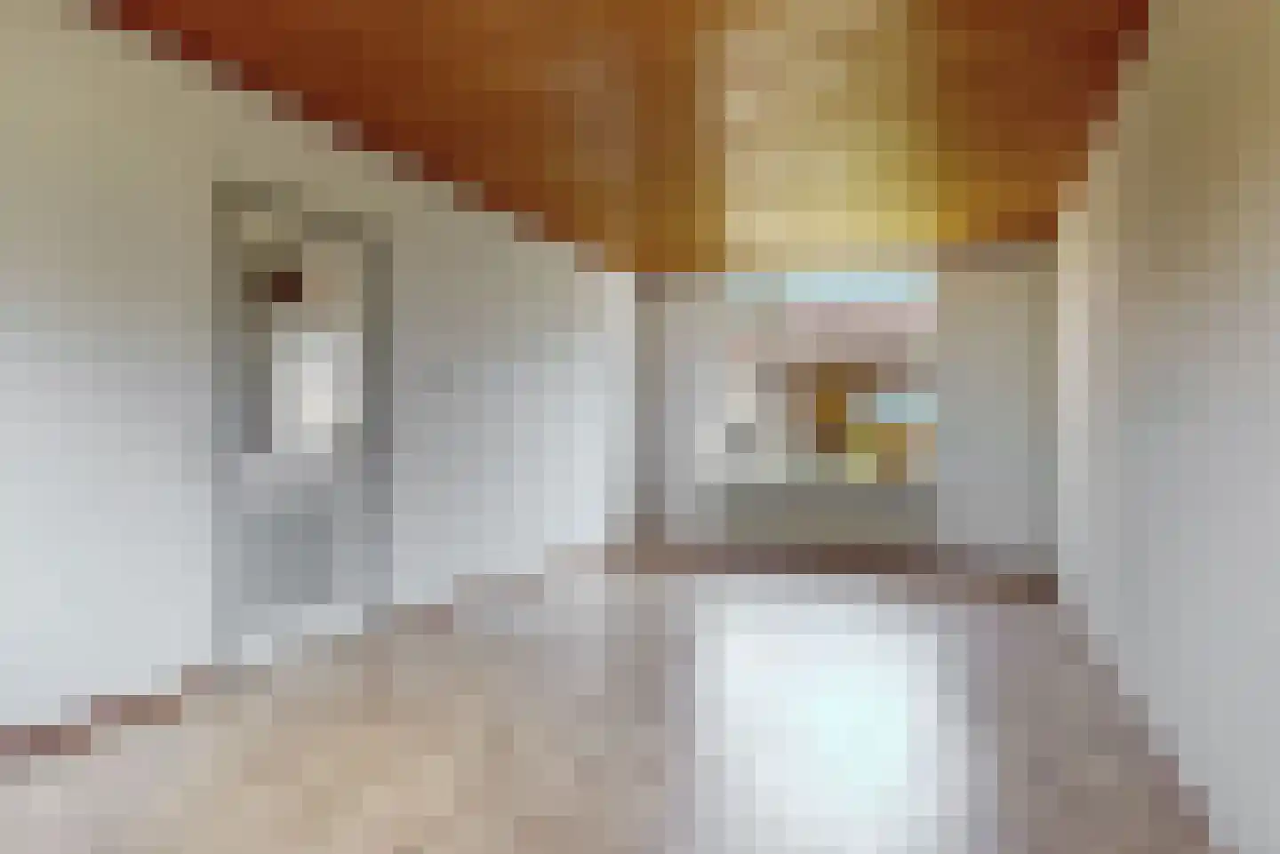 Merelstraat 6 Driel thumbnail 4