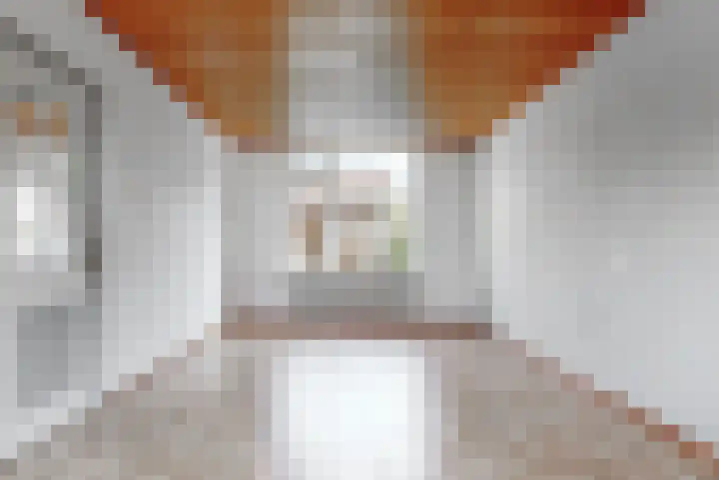 Merelstraat 6 Driel thumbnail 5