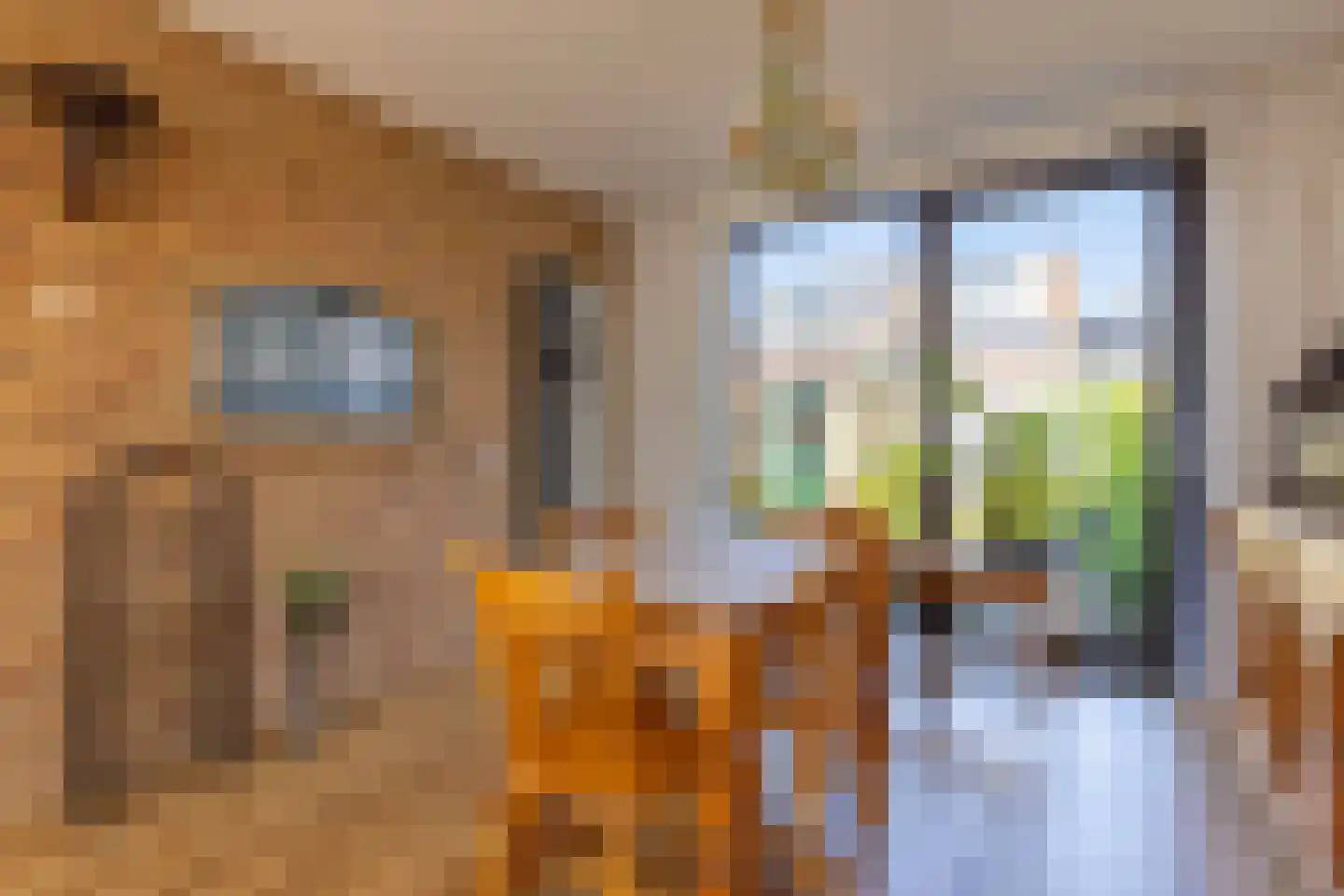 Merelstraat 6 Haastrecht thumbnail 11