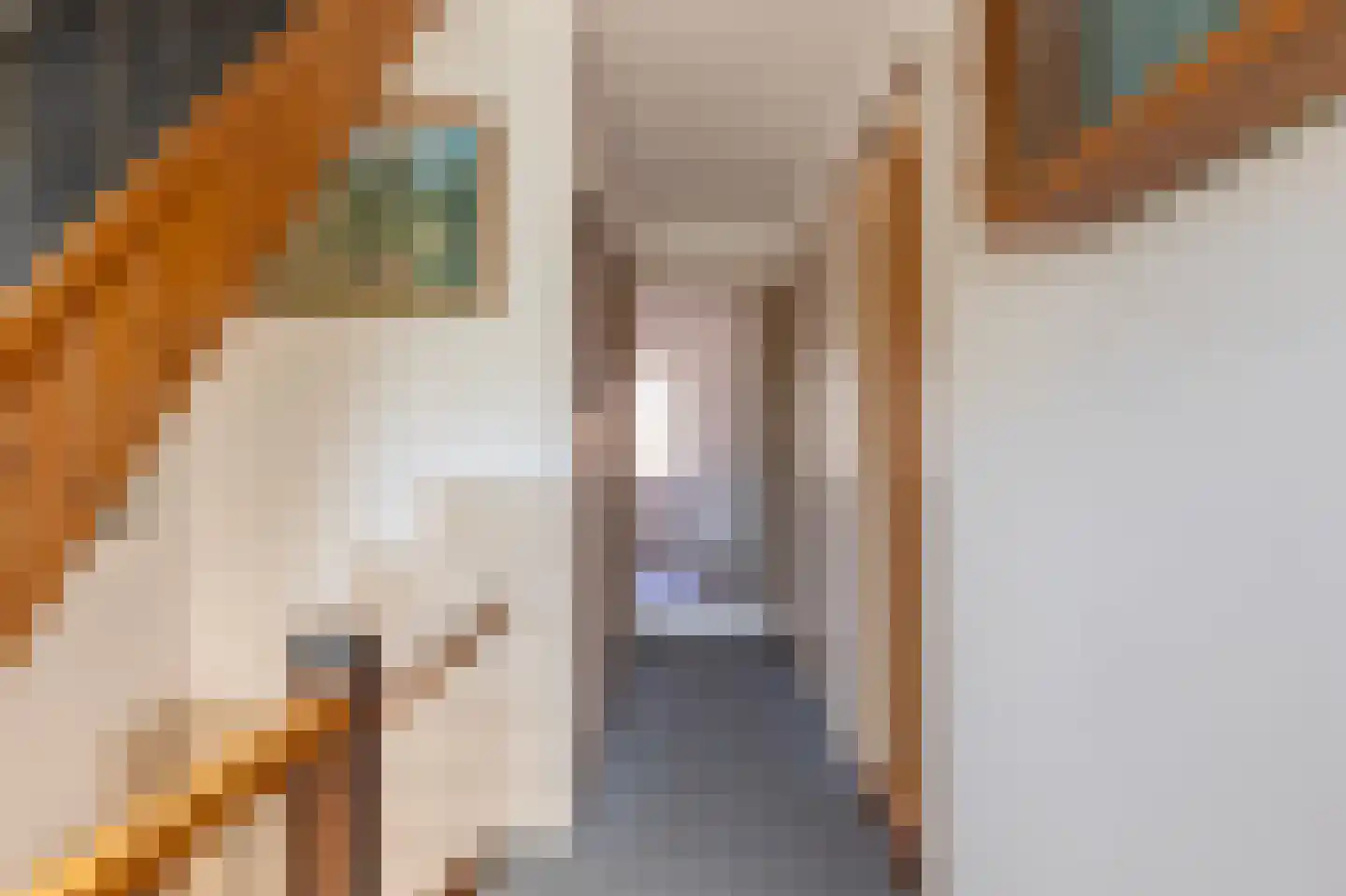 Merelstraat 6 Haastrecht thumbnail 36