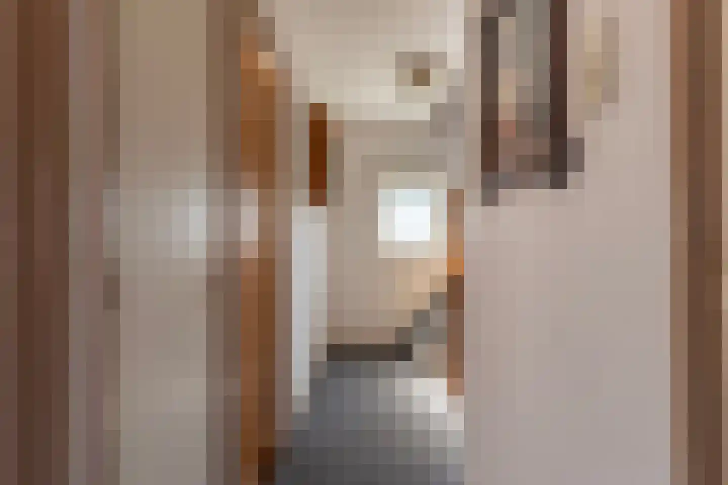 Merelstraat 6 Haastrecht thumbnail 37