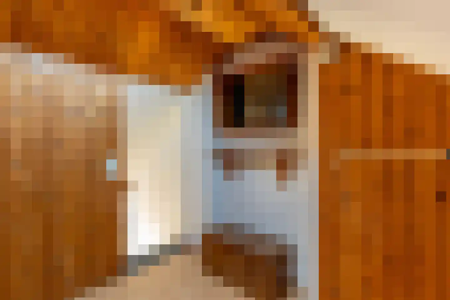 Merelstraat 6 Haastrecht thumbnail 43