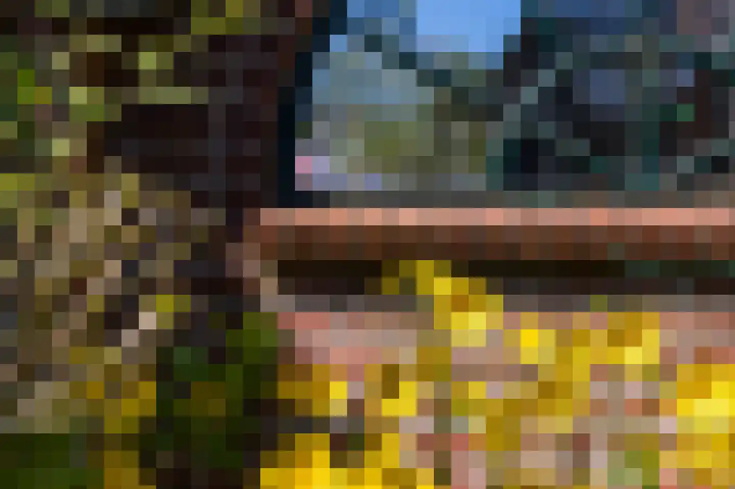 Merelstraat 6 Haastrecht thumbnail 48