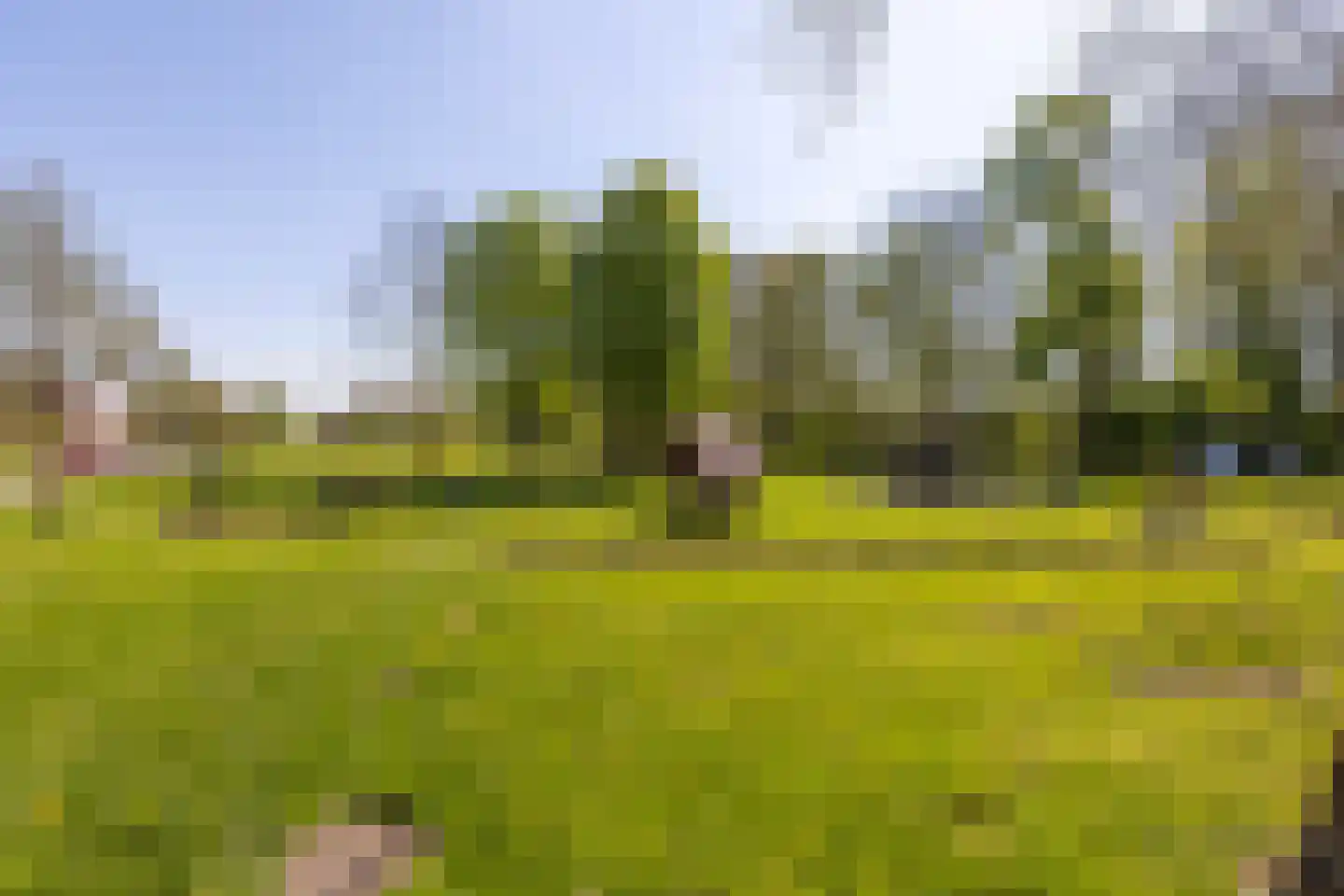Merelstraat 6 Haastrecht thumbnail 54