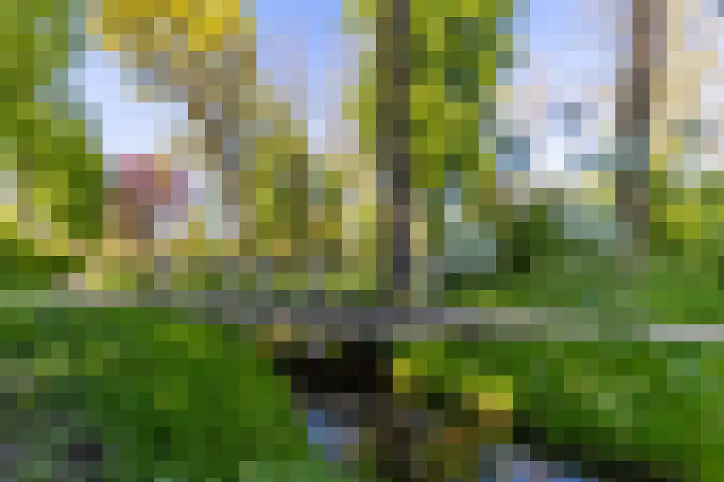 Merelstraat 6 Haastrecht thumbnail 56