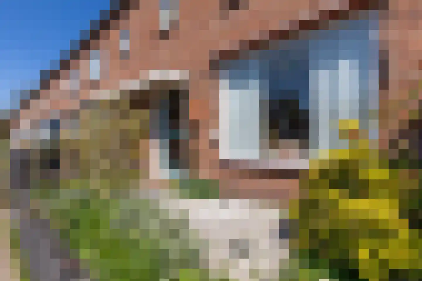 Merelstraat 6 Haastrecht thumbnail 6