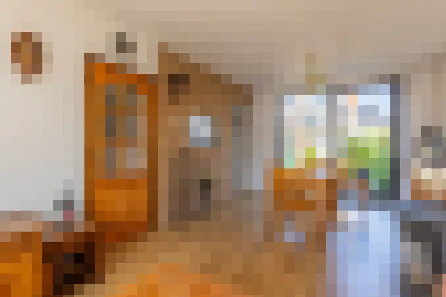 Merelstraat 6 Haastrecht thumbnail 9