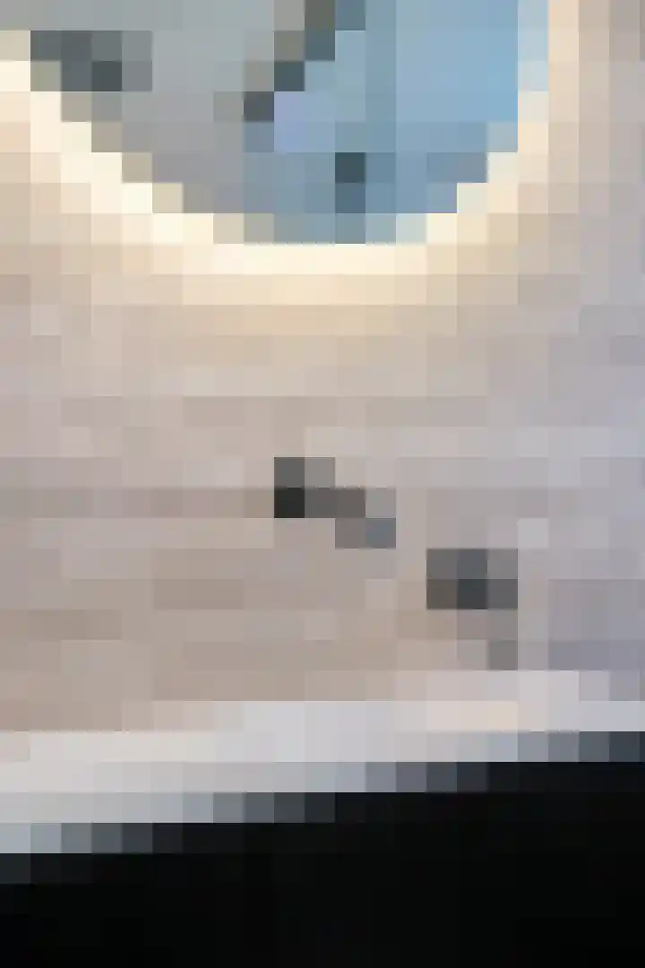 Merelstraat 6 Tilburg thumbnail 20