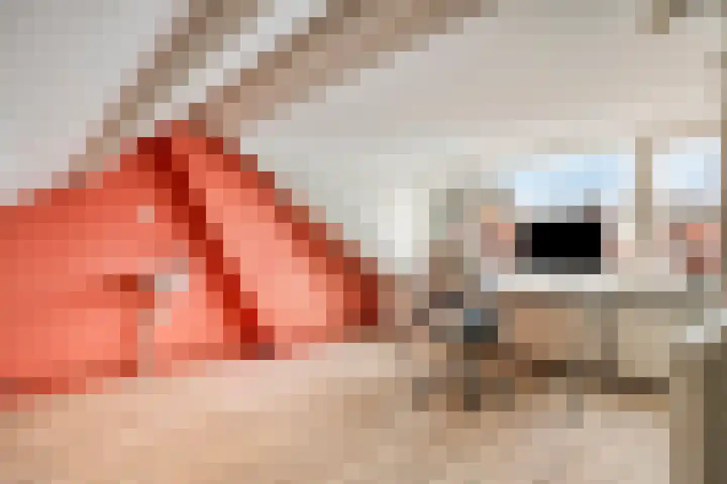 Merelstraat 6 Tilburg thumbnail 33