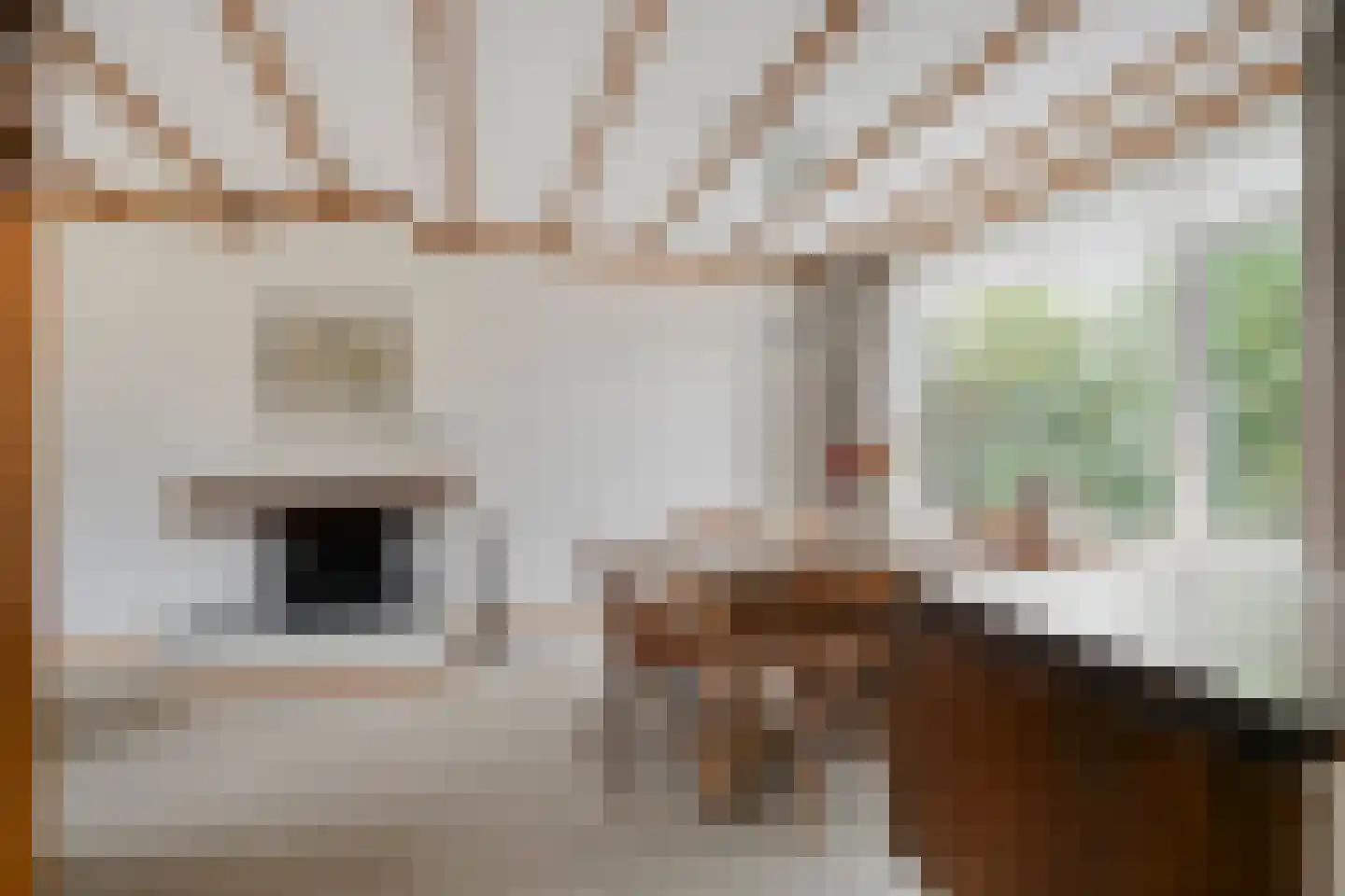 Merelstraat 62 Haaksbergen thumbnail 8