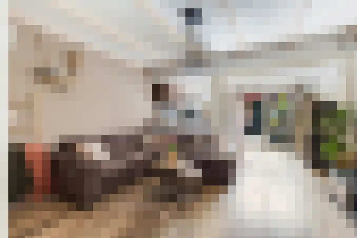 Merelstraat 68 Hilversum thumbnail 4