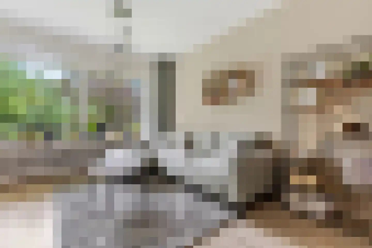 Merelstraat 69 Leiderdorp thumbnail 12