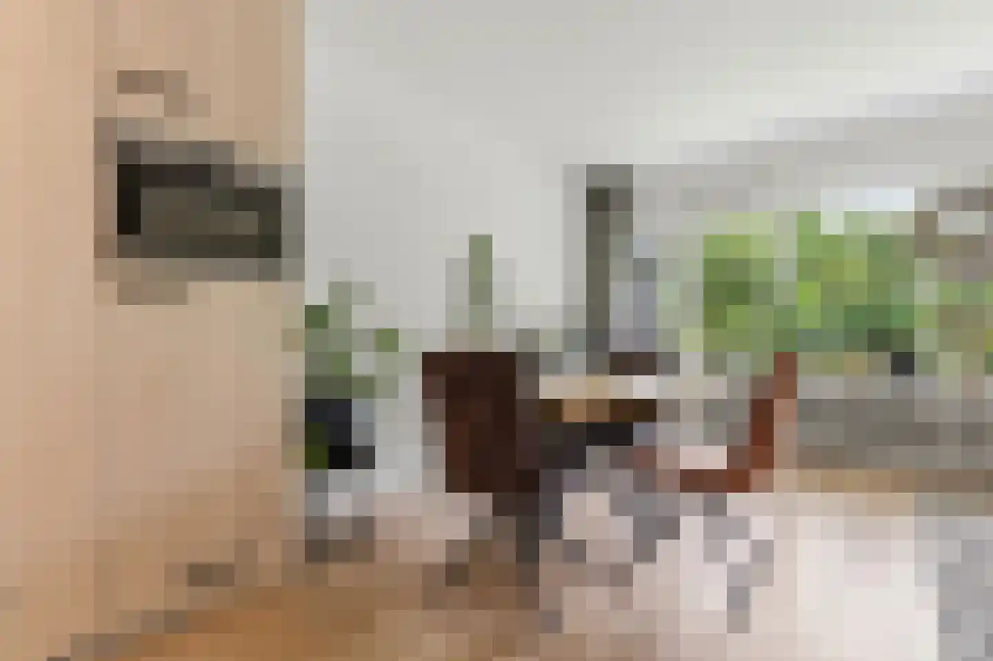 Merelstraat 69 Leiderdorp thumbnail 15