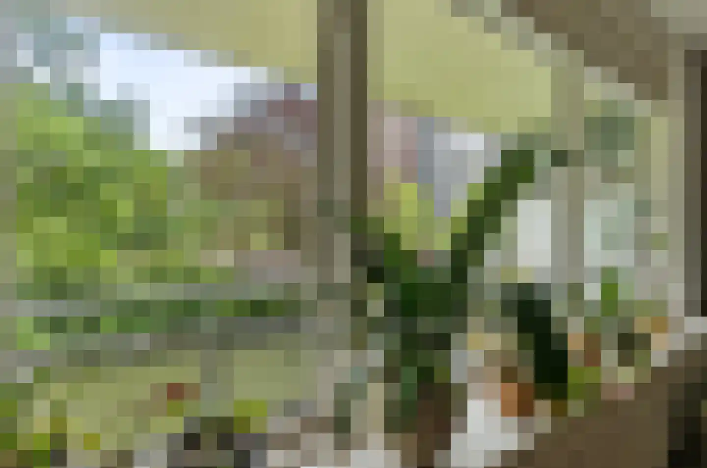Merelstraat 69 Leiderdorp thumbnail 18
