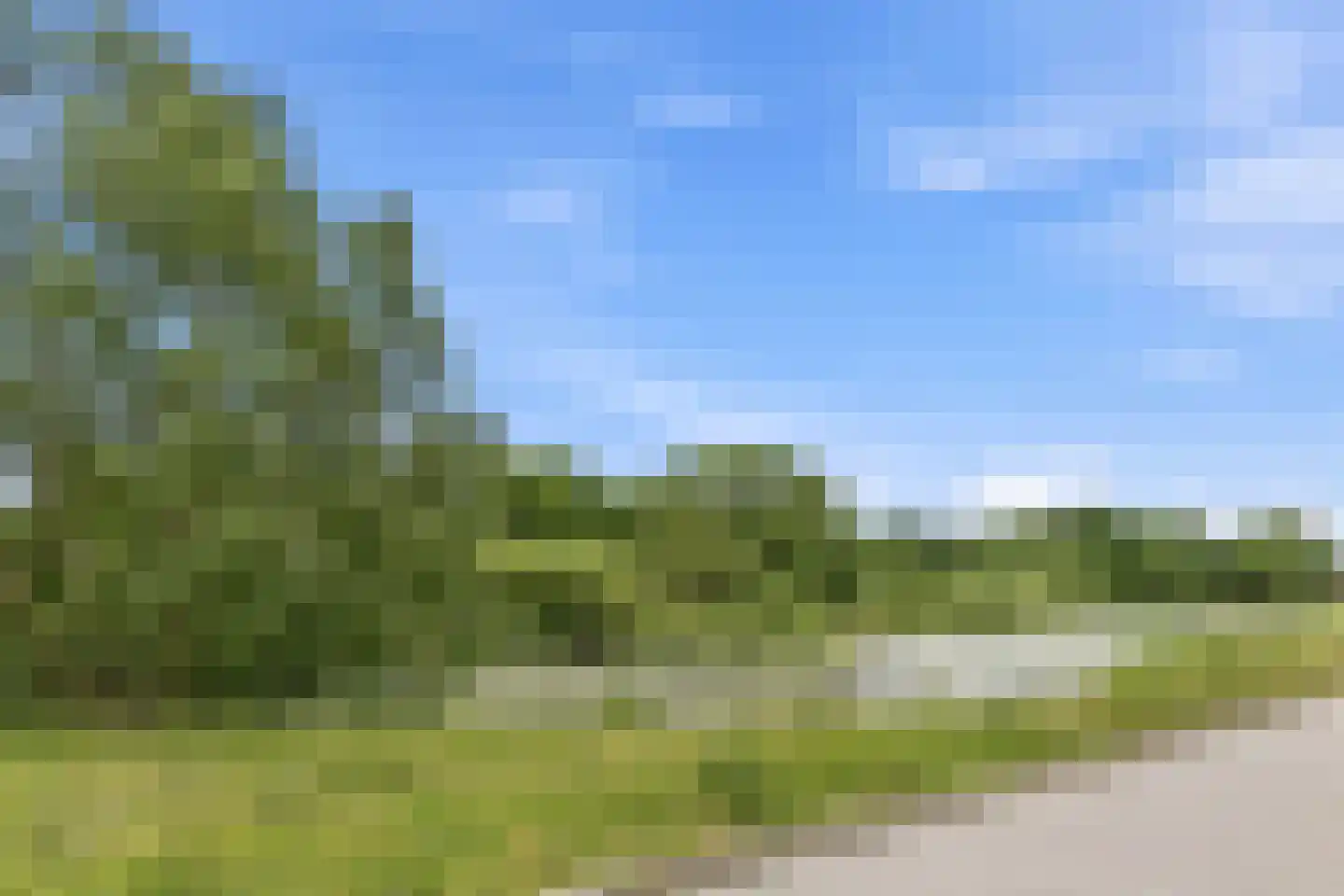 Merelstraat 69 Leiderdorp thumbnail 33