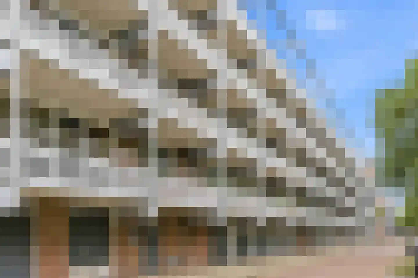 Merelstraat 69 Leiderdorp thumbnail 4