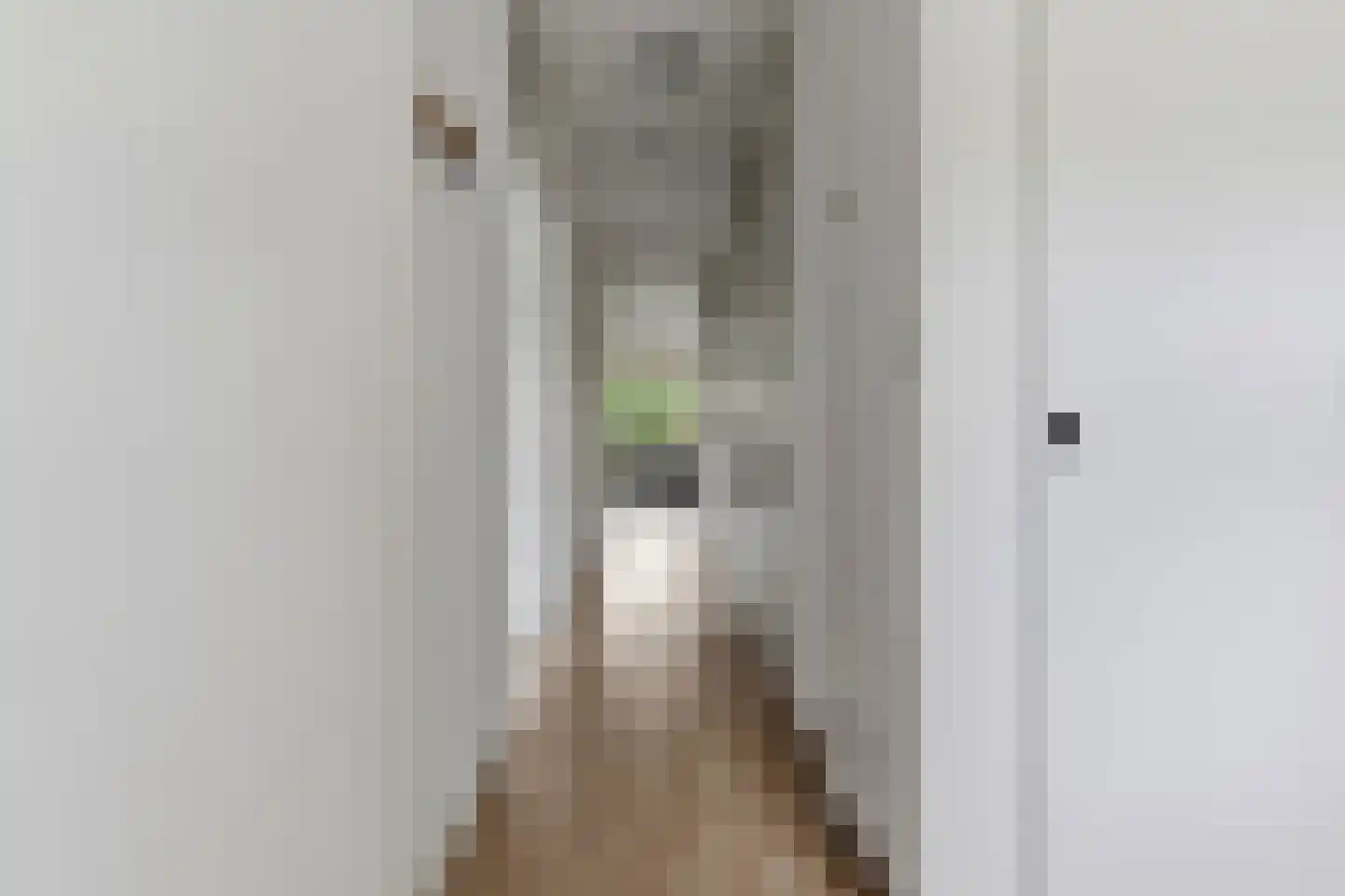Merelstraat 69 Leiderdorp thumbnail 8