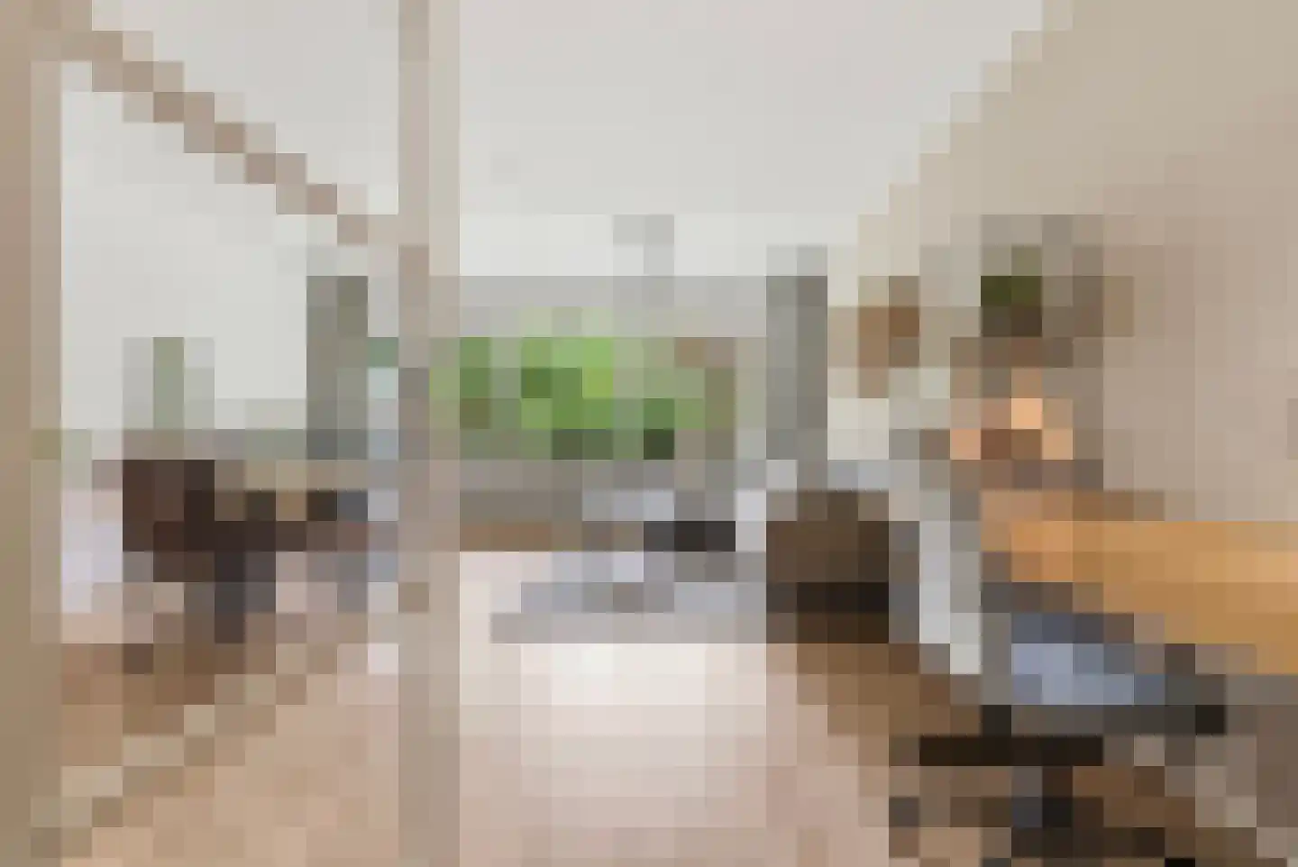 Merelstraat 69 Leiderdorp thumbnail 9