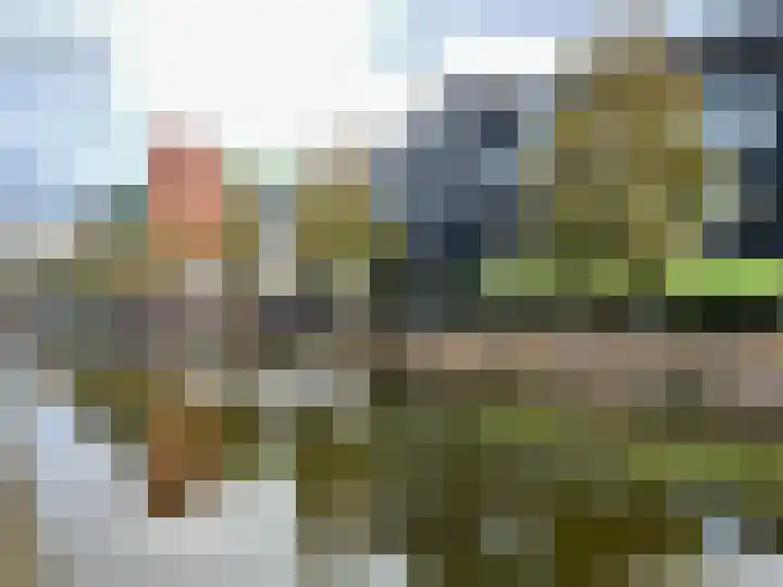 Merelstraat 7 Alphen aan den Rijn thumbnail 28