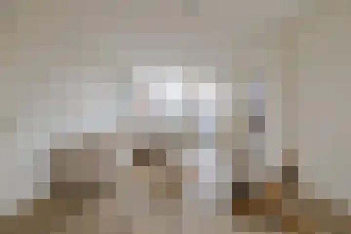 Merelstraat 7 Alphen aan den Rijn thumbnail 5