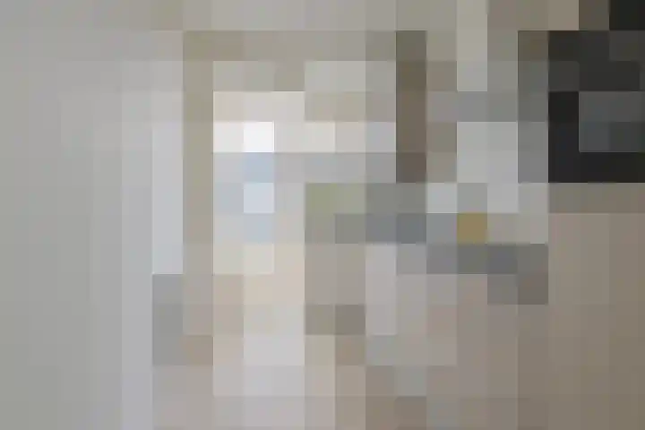 Merelstraat 7 Alphen aan den Rijn thumbnail 7
