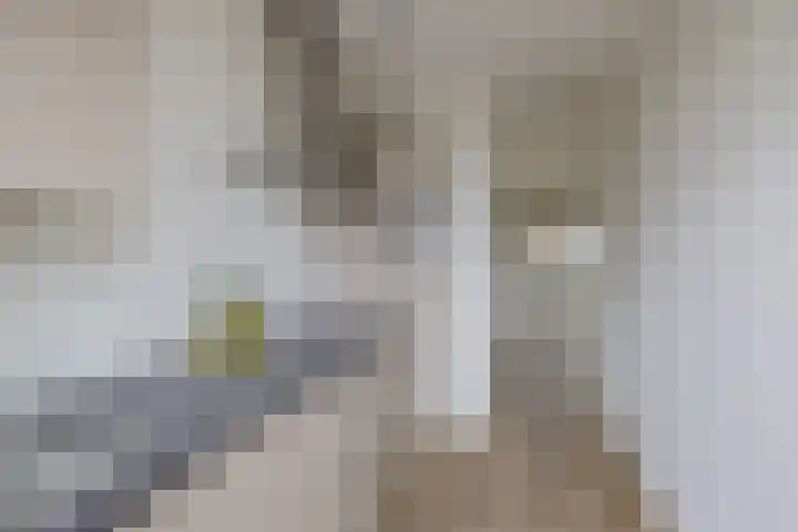 Merelstraat 7 Alphen aan den Rijn thumbnail 8