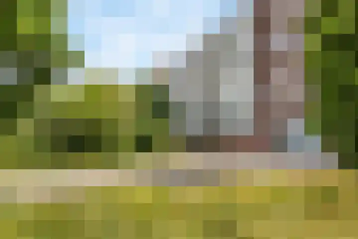 Merelstraat 7 Leiderdorp thumbnail 33