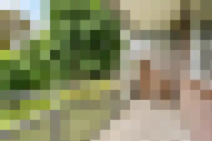 Merelstraat 7 Leiderdorp thumbnail 5