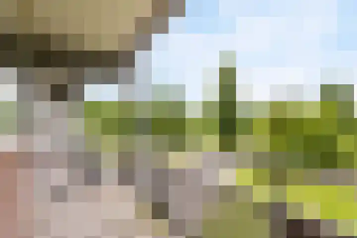 Merelstraat 7 Leiderdorp thumbnail 6