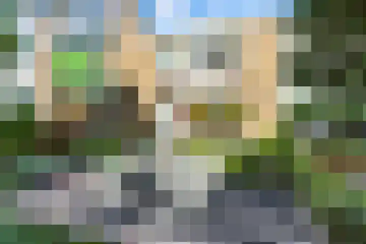 Merelstraat 8 Alblasserdam thumbnail 41
